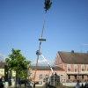 Maibaum08